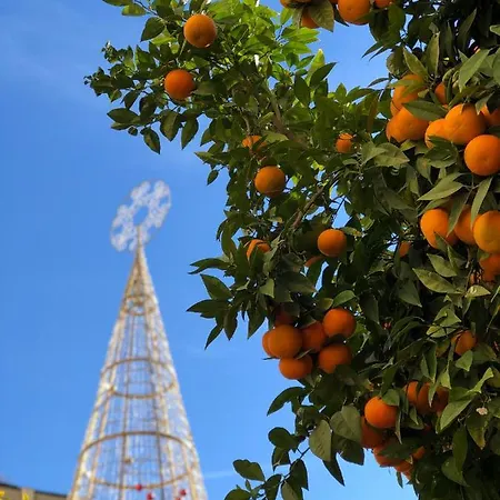 Apartamento Picasso Center 1a Málaga